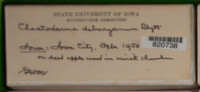 Image Associated With the Occurence
